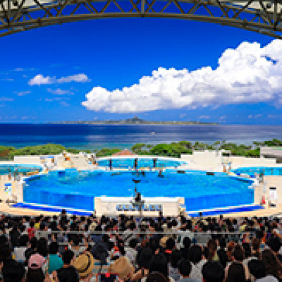 イルカが飛ぶショープール