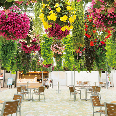 スカイガーデン