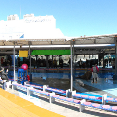 ベンチがある広場