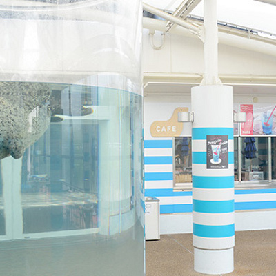 京都水族館のスタジアムカフェ