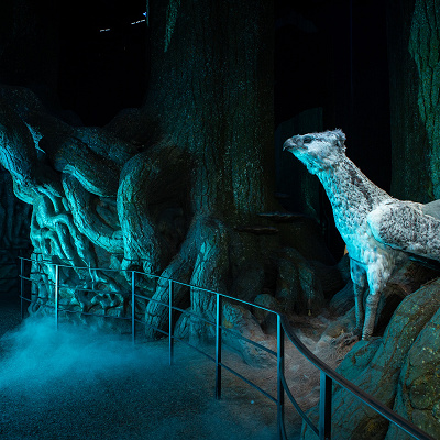 スタジオツアー東京：チケットの支払方法