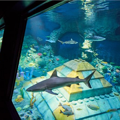 サブマリン・アドベンチャー