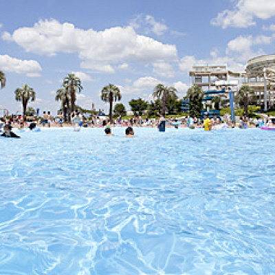 スイミングプール