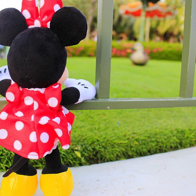 写真を撮って楽しもう！