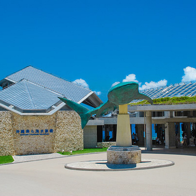 美ら海水族館は、本部町の海洋博公園内にあります。