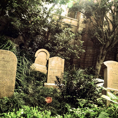 ホーンテッドマンション敷地内の庭は荒れ果てている様子