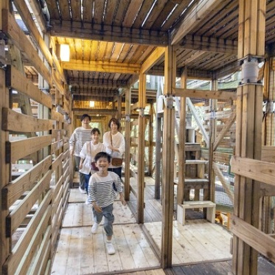 The Maze(ザ・メイズ)