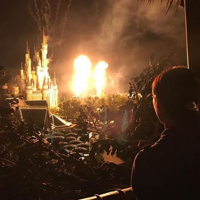 スイスファミリー・ツリーハウスから見た景色