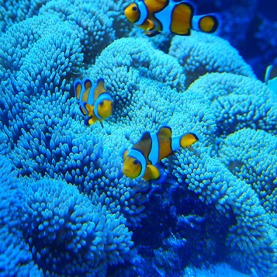 海の中の世界が非常にリアル！体感アトラクション