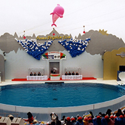 イルカショーも行われていますよ！