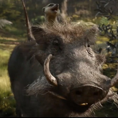 ティモンとプンバァ