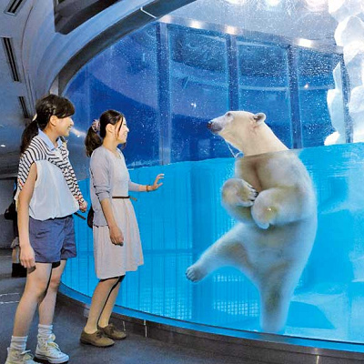 海獣館・ふれあい広場へ