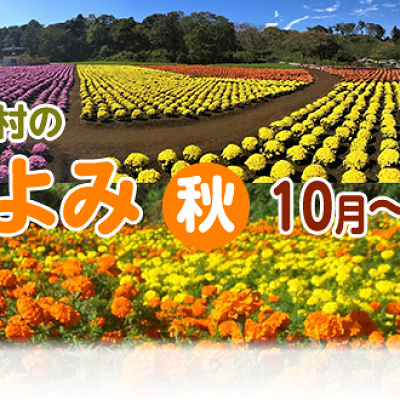 東京ドイツ村の花こよみ（秋）