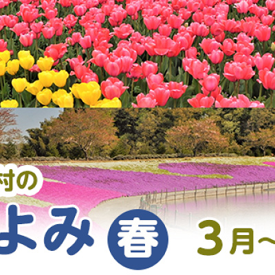 東京ドイツ村の花こよみ（春）