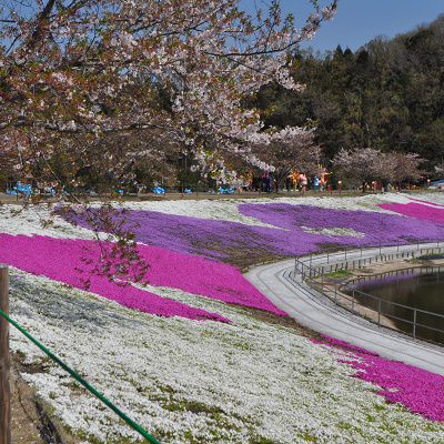 東京ドイツ村