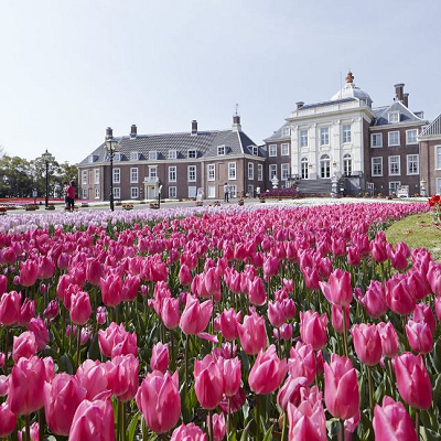 各地域のツアー発着地・交通プラン