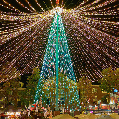 そびえたつ巨大ツリー