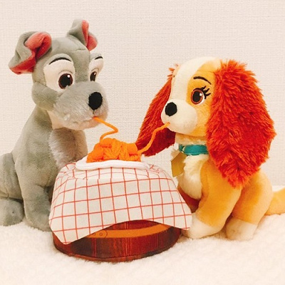 トランプ（左）レディ（右）