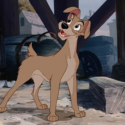 トランプの暗い過去が明らかに