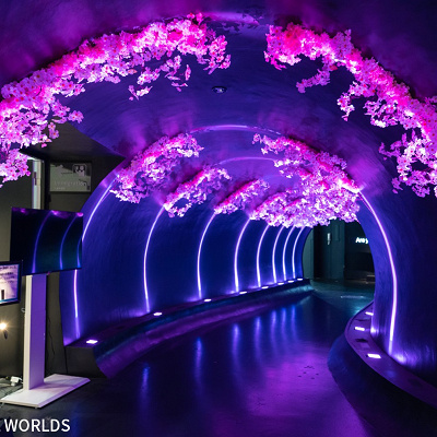 エントランスに続く夜桜のトンネル