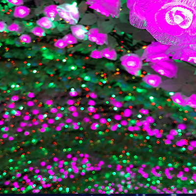 バラのライトが輝くトンネル