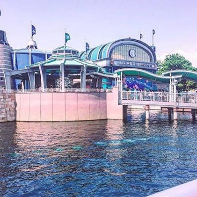 ニモ＆フレンズ・シーライダーは怖いのか検証