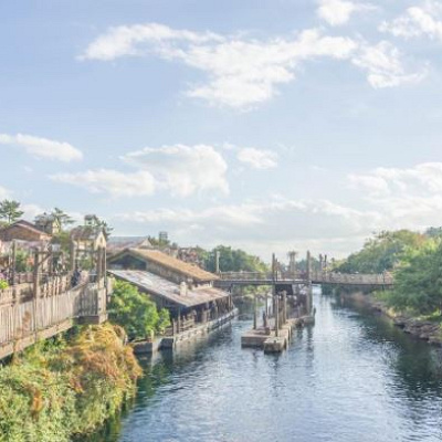 吊り橋から見たロストリバーデルタの風景