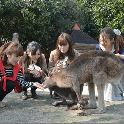 ウォーキングサファリ