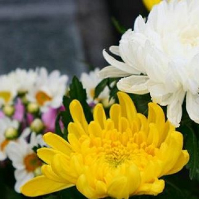 本作となじみ深い日本の接点とは？