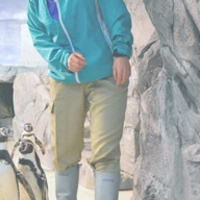 新江ノ島水族館ってどんな水族館？