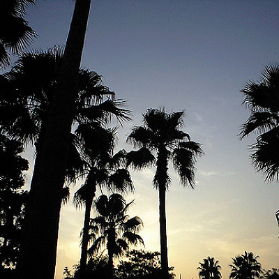 ゲストに伝えたいメッセージとは