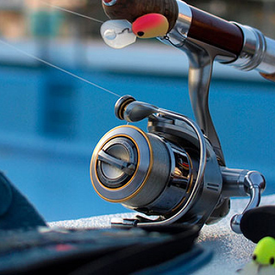 釣った魚は持ち帰りOK