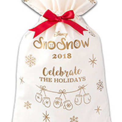 ボディー１体につき１枚のバッグがもらえます