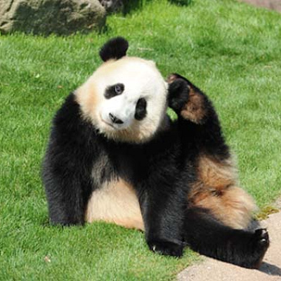 結浜（ゆいひん）