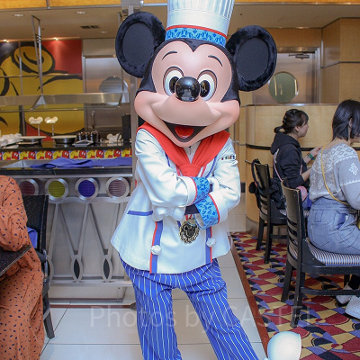 ホテル＆パークでディズニーの仲間たちと会える2DAYS