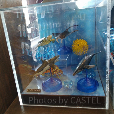 4DパズルマリンDX