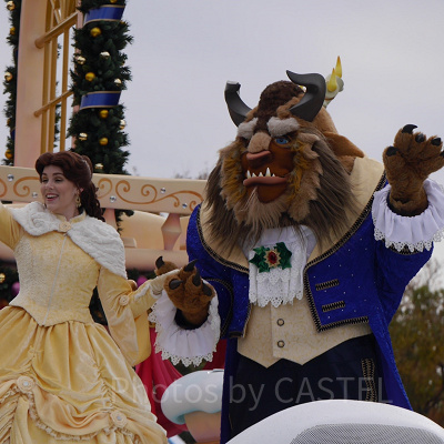 東京ディズニーランドで会えるビースト。優しい瞳をしていますね！