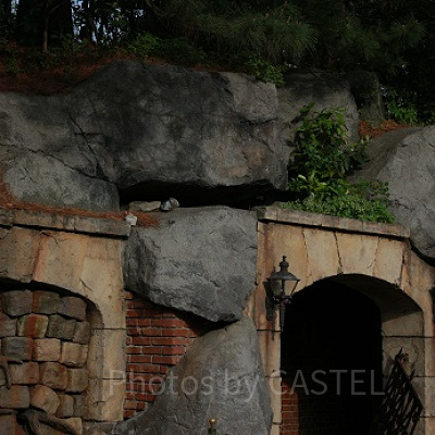 スタンバイで並ぶと見ることのできる洞窟。どこに繋がっているのでしょうか？