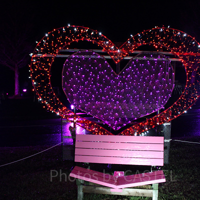 パートナーとの距離も近付くカップルシート