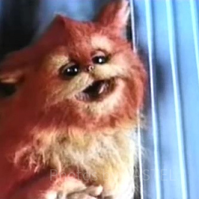 メジャードモの左足から変身したベースを弾くファズボール