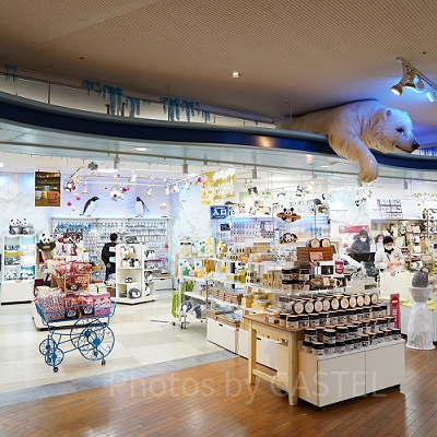  雨でも安心のギフトショップ