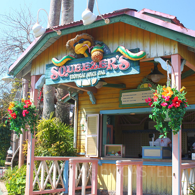 南国の雰囲気漂うジュースバー