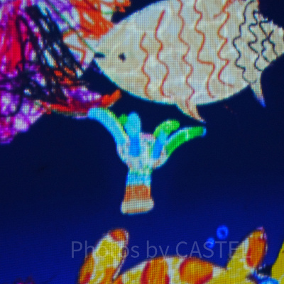 塗り絵をしたイソギンチャクが水槽に登場