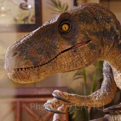 檻の中に閉じ込められているラプトル