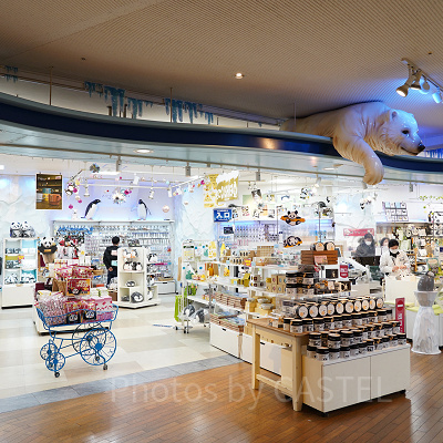 しろくまが目印のお店