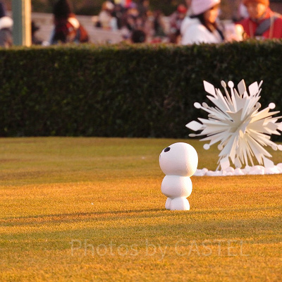 とってもマイペースなスノーギース。