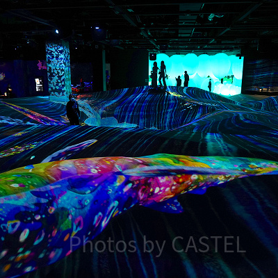 「鼓動する大地」に泳ぐクジラ