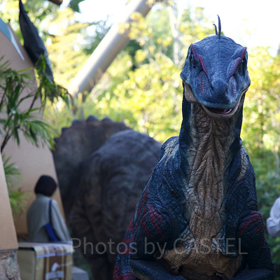 ヴェロキ・ラプトルについて