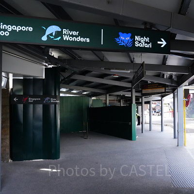 シンガポール動物園へのアクセス：看板に沿って3種類の動物園施設へアクセス可能