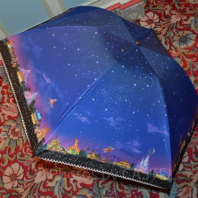 傘のメリットとデメリット